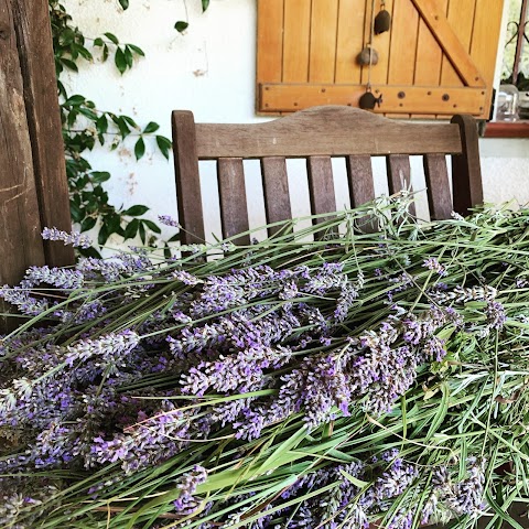 Tenuta di Cascina Diavolo Dei Boschi