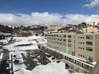 Università degli Studi della Basilicata