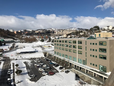 Università degli Studi della Basilicata