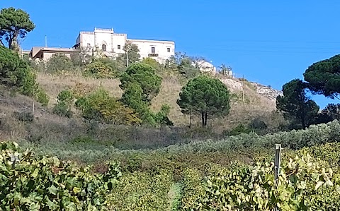 Riserva naturale integrale Grotta di Santa Ninfa