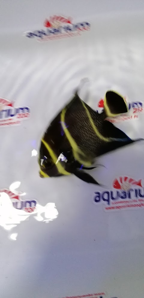 Aquarium Zoo