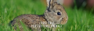 ALI - Animal Law Italia ETS