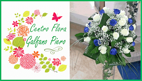 Centro Flora Di Clemente Vita - Fioraio Interflora Castelvetrano