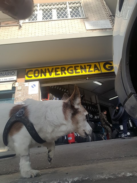 CLINICA VETERINARIA DESTRERO