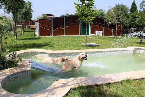 Snoopy Village - Resort a 5 stelle per animali domestici