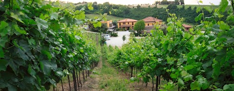 Agriturismo Borgo Delle Vigne