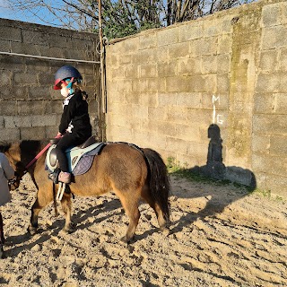 Equestrian Le Tufare Asd