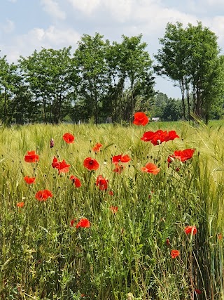 Campo Nord Di Bello' Marco