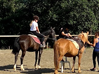 Centro Equestre Il Baio Oscuro