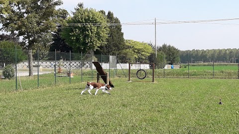 Pensione ed educazione per animali San Rocco