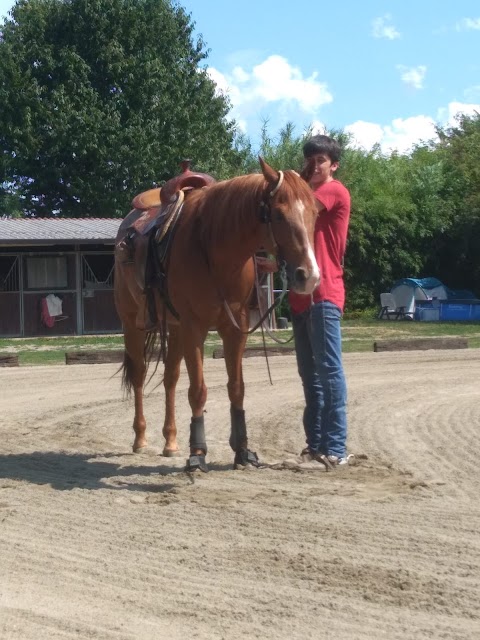 Scuola di Equitazione Western Bianchi Performance