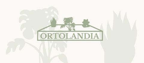 Ortolandia