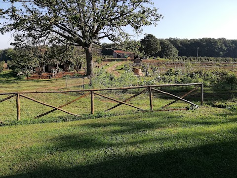 Agriturismo il Poggio