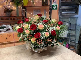 Fiori di K&Y