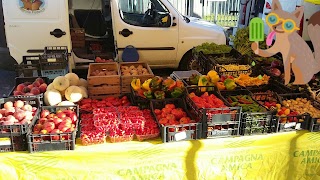 Azienda Agricola Barone