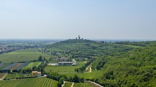 Affiliato Tecnocasa Studio Montorio Nuova S.N.C.