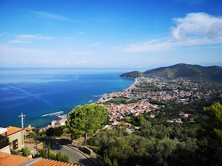 Parco Nazionale del Cilento, Vallo di Diano e Alburni