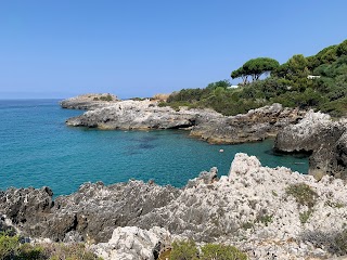 Parco Nazionale del Cilento, Vallo di Diano e Alburni