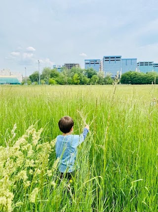 L'Asilo nel Bosco di Milano