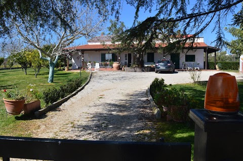 Villa Irene Casa Vacanze