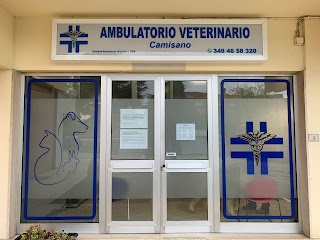 Ambulatorio Veterinario Camisano