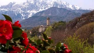 Pro Loco di Capo Di Ponte