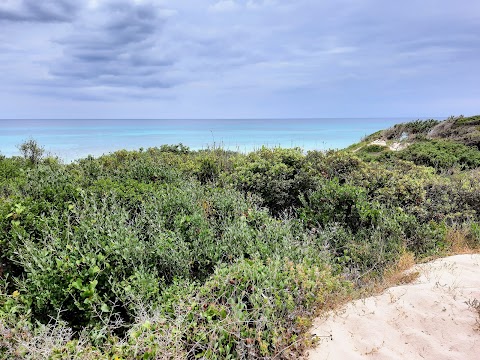 Spiaggia Torre Guaceto - Riserva Naturale