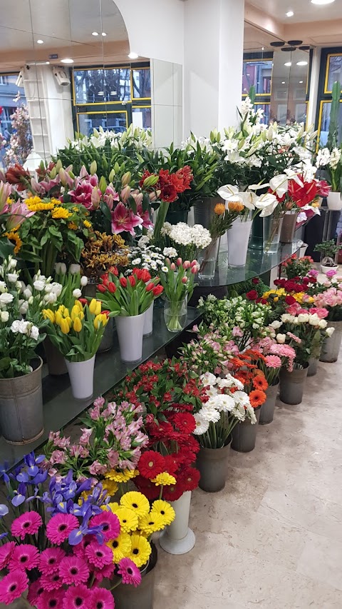 Venice Flower Delivery