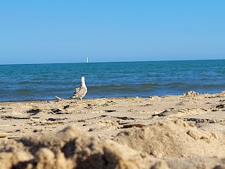 Playa di Catania