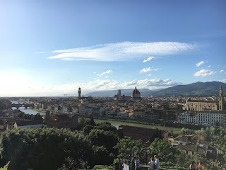 Avvocati del Lavoro Firenze - Studio Legale Fiesoli, Avv. Giovanna Fiesoli