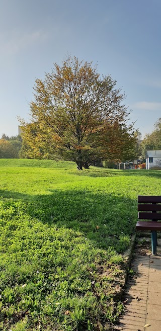 Parco di via Adenauer, Gandhi, Faccio