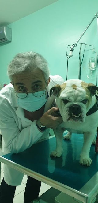 Ambulatorio Veterinario Dott. D'Anelli Felice Angelo