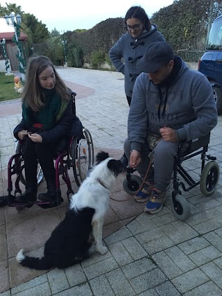 Centro Cinofilo e Pensione per Cani Barletta A.P.S.S.D. Impariamo ad Imparare