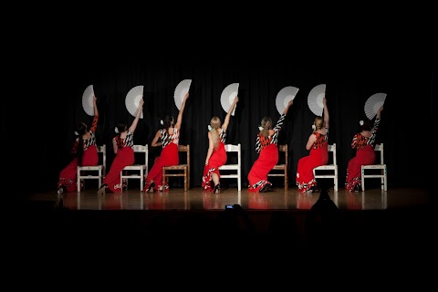 A.S.D. Viento Flamenco (Sede di Portogruaro)
