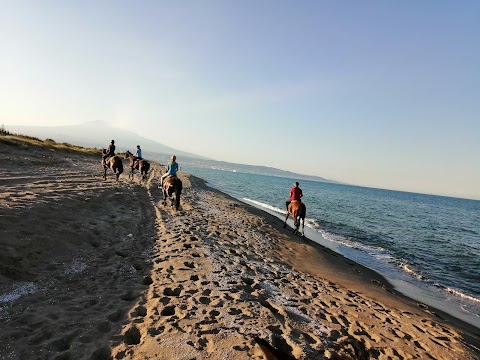 Sicily Horse Riding