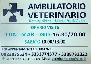 Ambulatorio Veterinario Teano