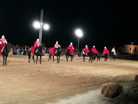 Accademia nazionale di arte equestre "Il nero luminoso"