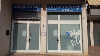 Ambulatorio Veterinario "La Fenice" di Iosca N.