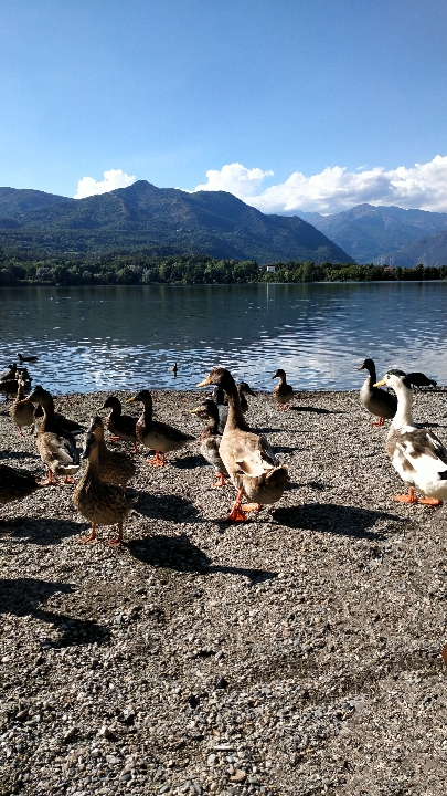 Lago Piccolo di Avigliana