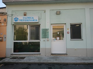 Clinica Veterinaria Città di Casale Monferrato