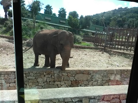 Parcheggio Zoo Safari Fasanolandia