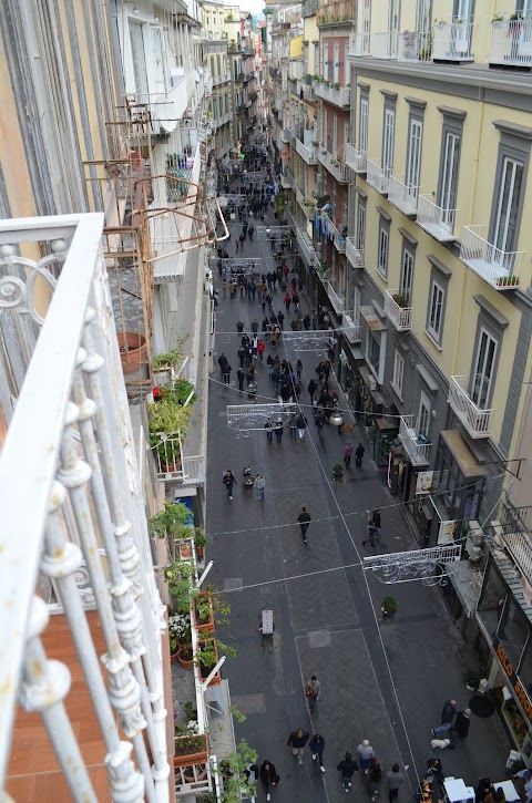 Casa Vacanze Domus Chiaia - Napoli