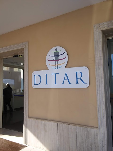 Centro Ditar