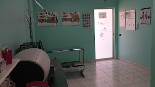 Ambulatorio Veterinario Dott. D'Anelli Felice Angelo