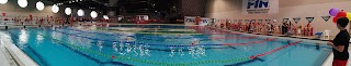 Unione Sportiva Triestina Nuoto