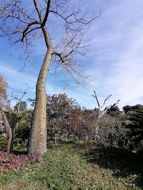 Giardino Botanico Lama Degli Ulivi