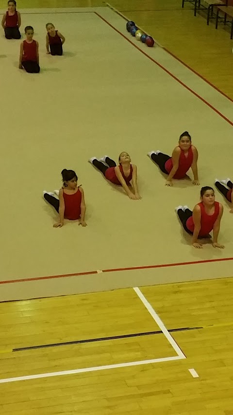 Società Ginnastica Solaris ASD c/o Palazzetto dello Sport