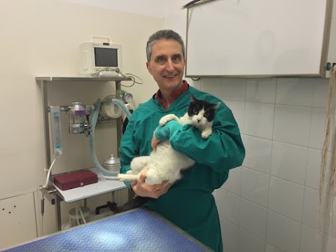 Ambulatorio Veterinario La Villa Dott. Pancani