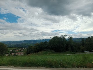 Pomodorino Bar - Trattoria - Pizzeria Di Anamaria Nicola