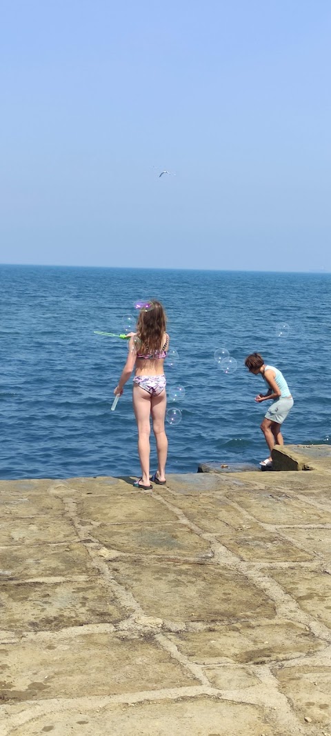 Spiaggia per cani